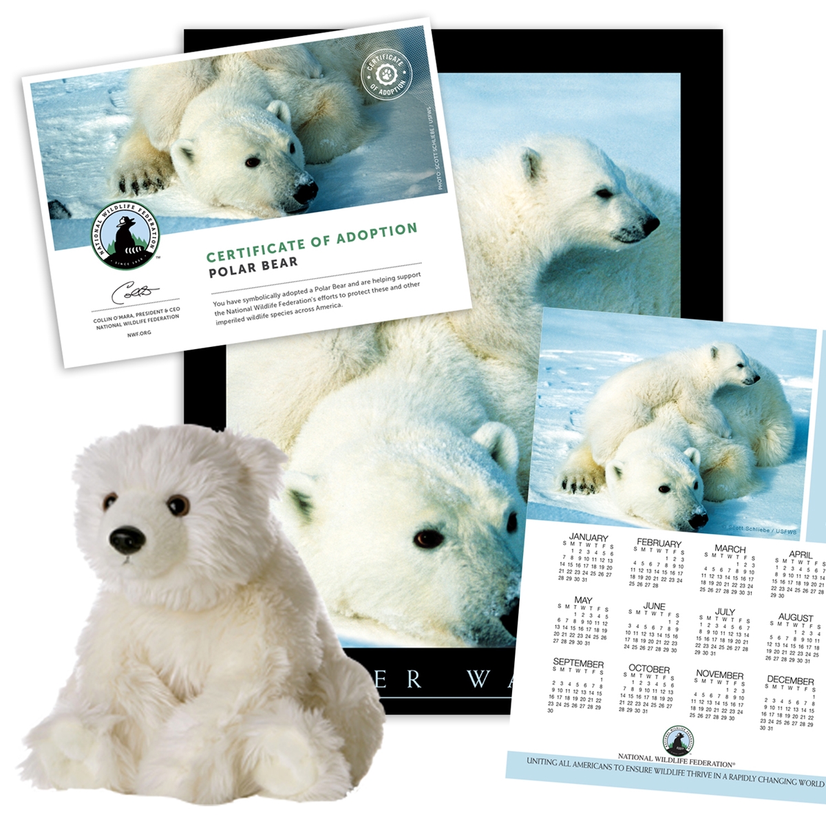 Adopt a Polar Bear