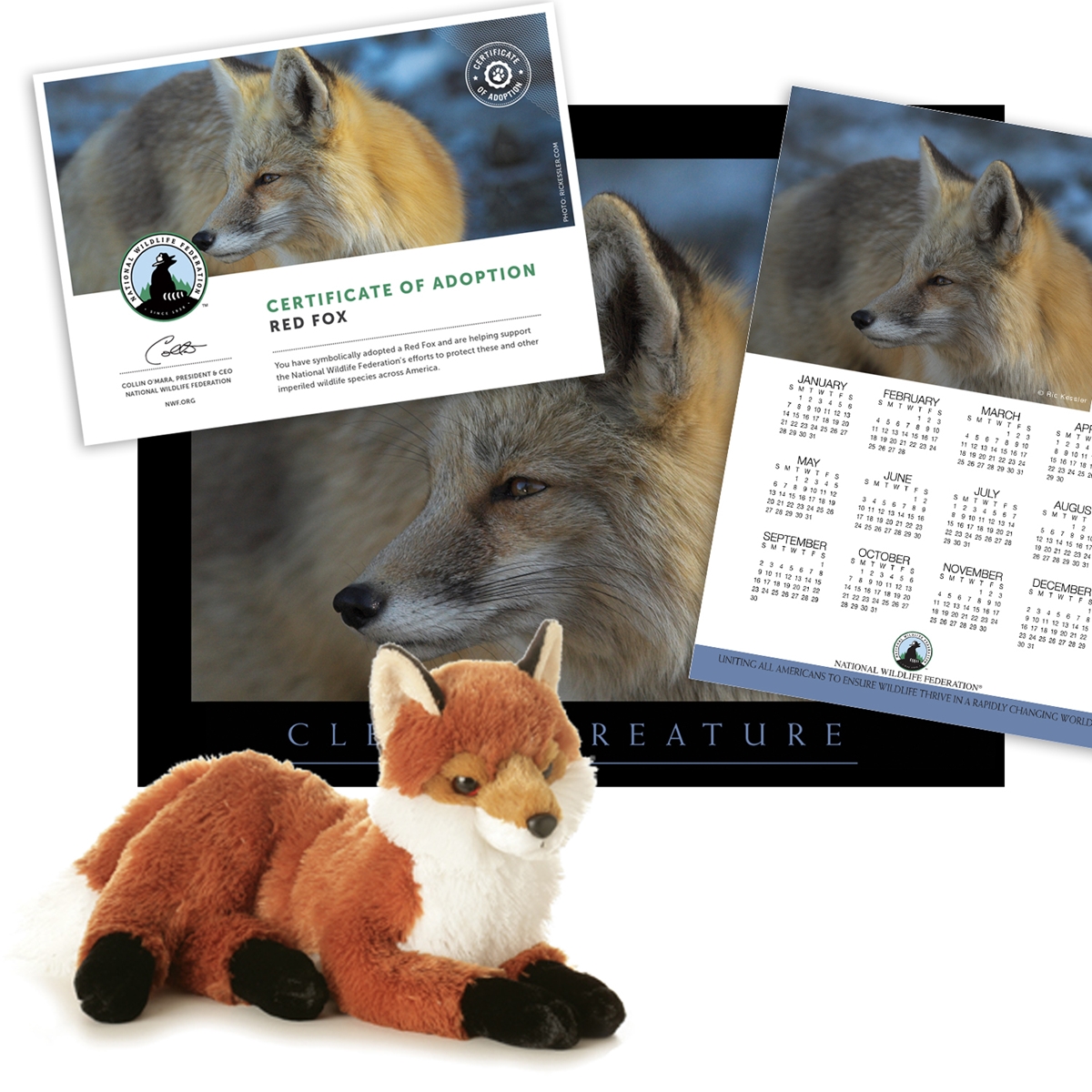 Adopt a Red Fox