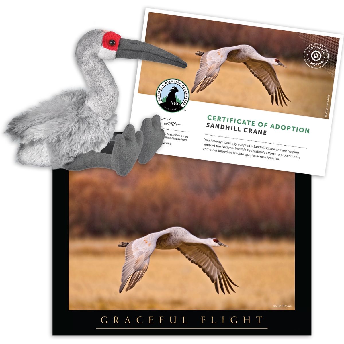 Adopt a Sandhill Crane