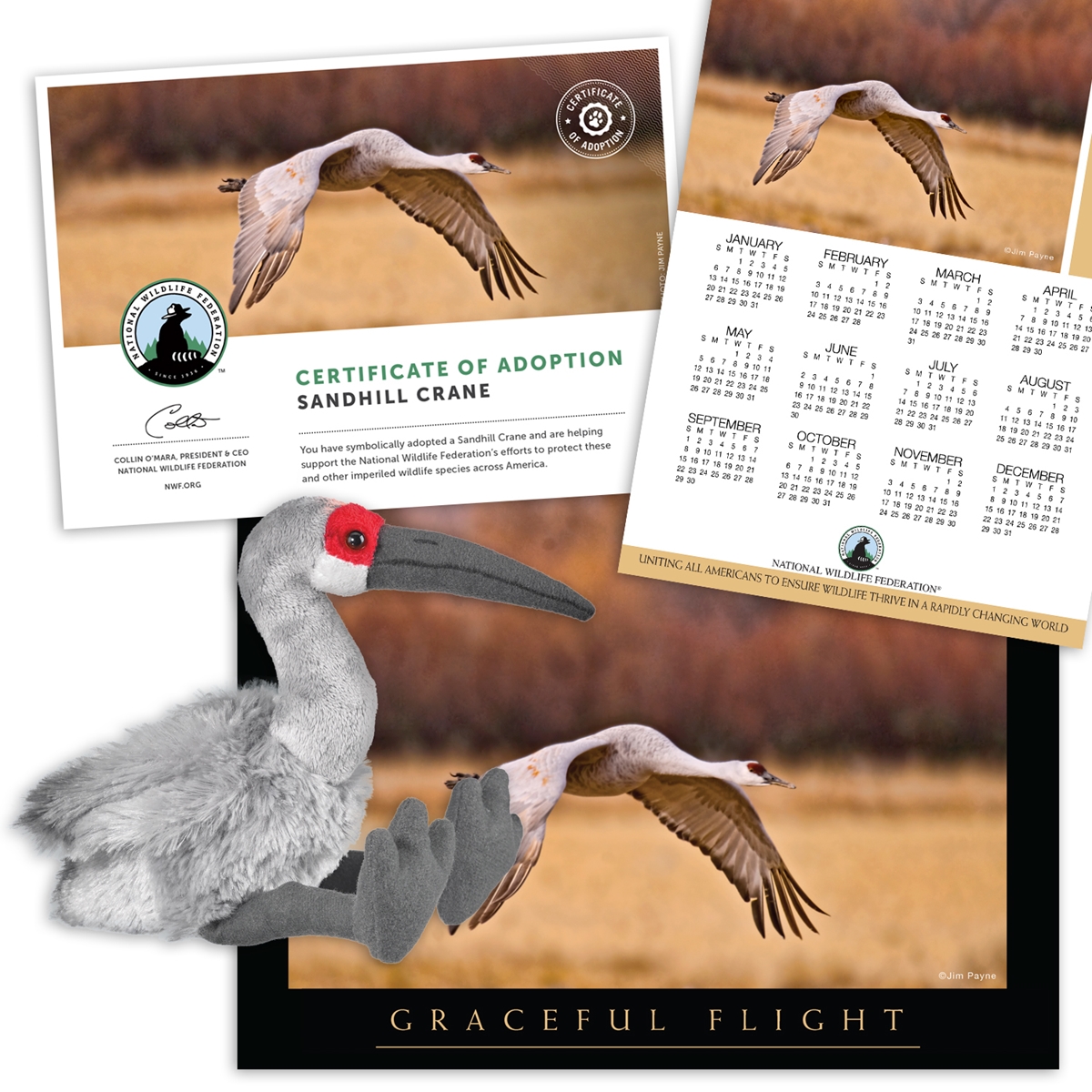 Adopt a Sandhill Crane