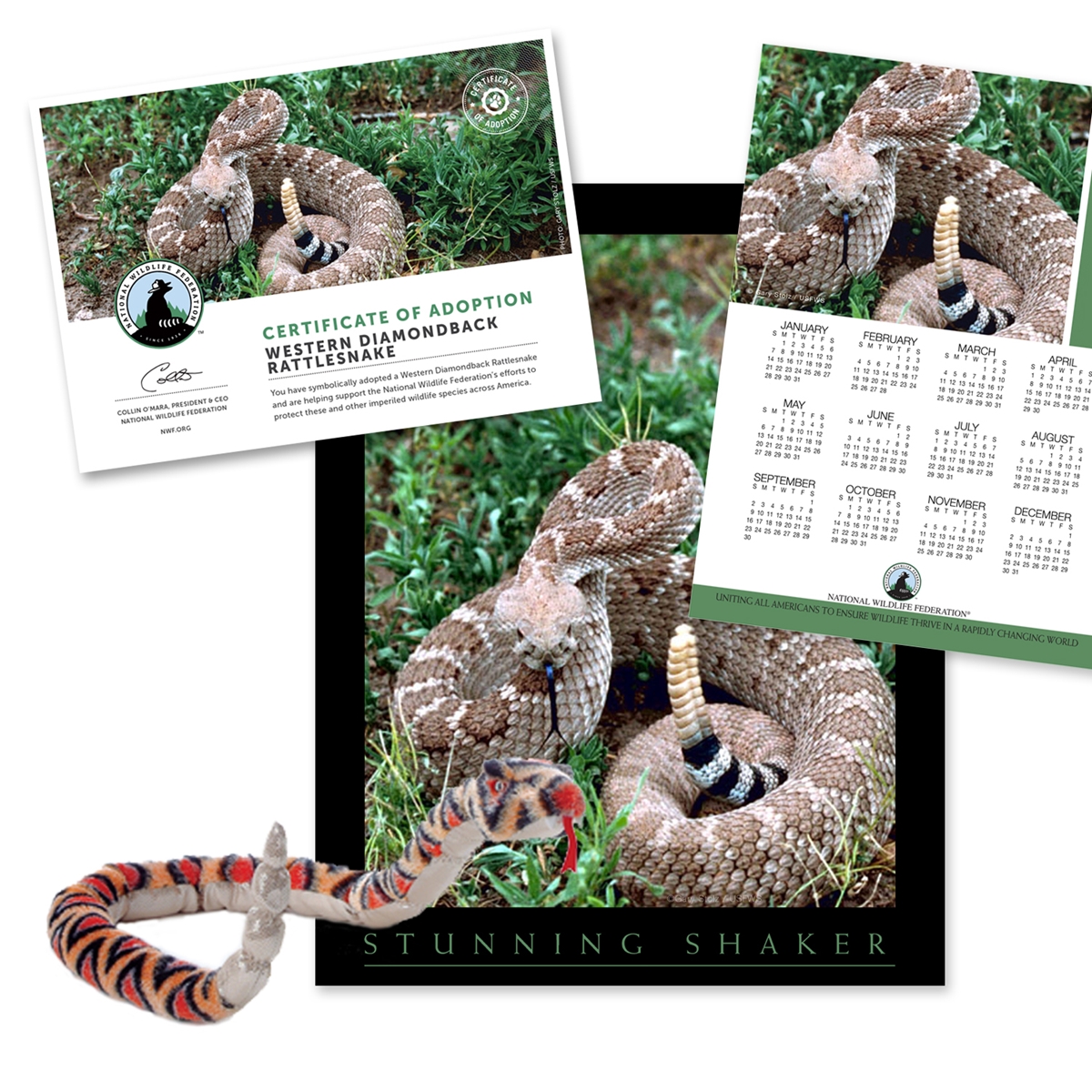 Adopt a Western Diamondback Rattlesnake