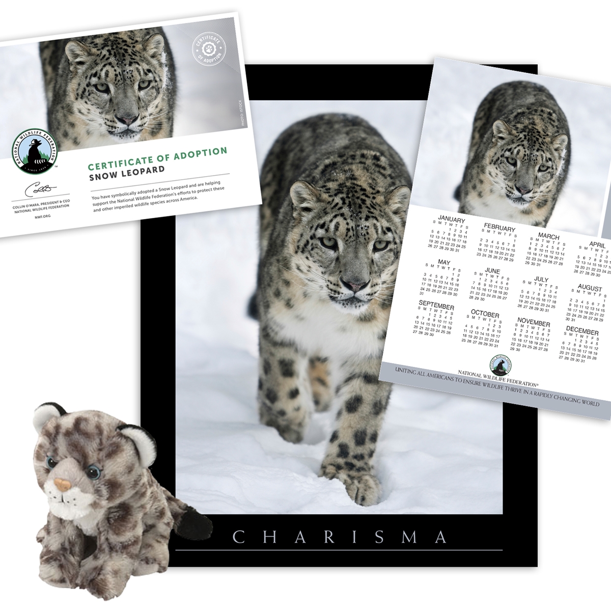 Adopt a Snow Leopard