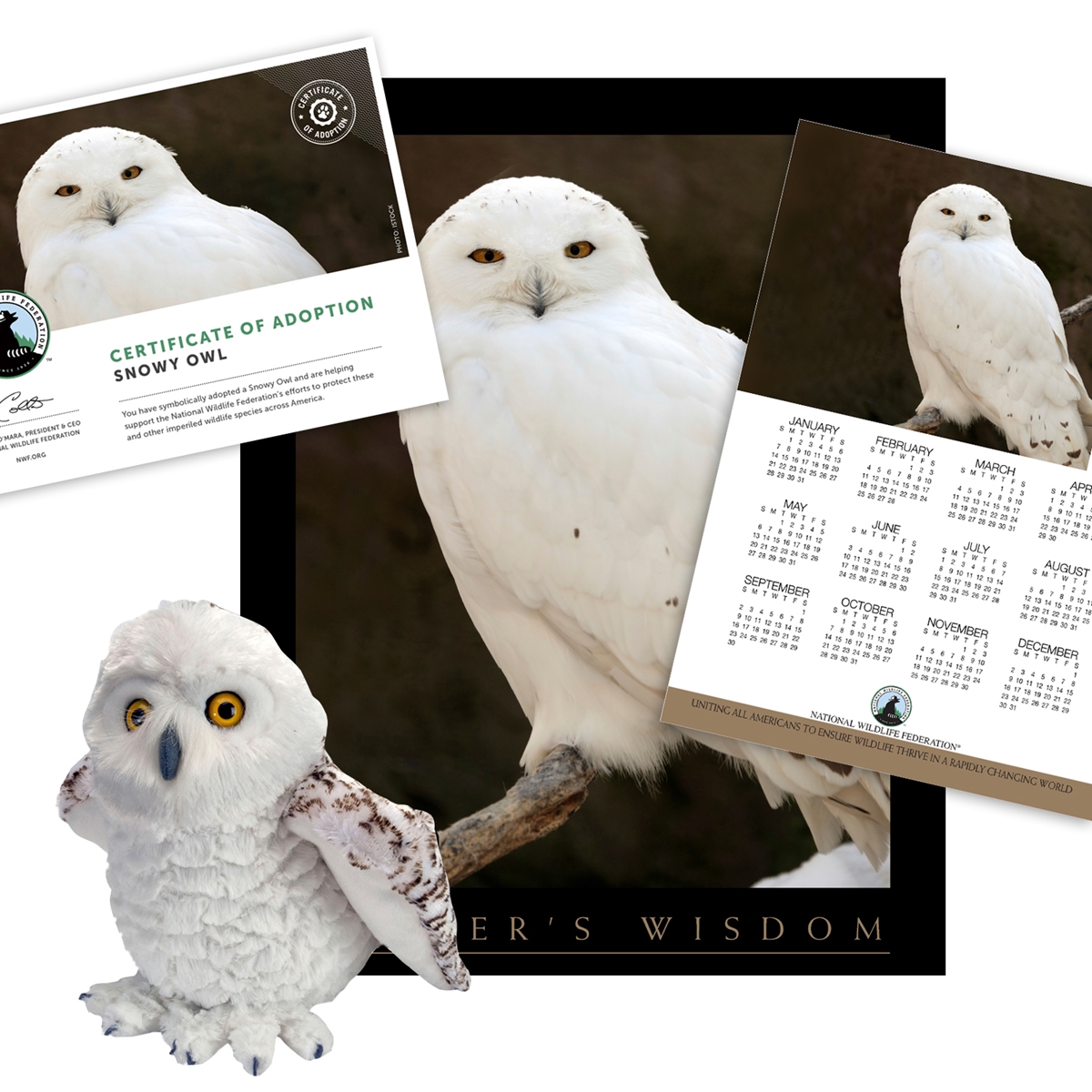 Adopt a Snowy Owl