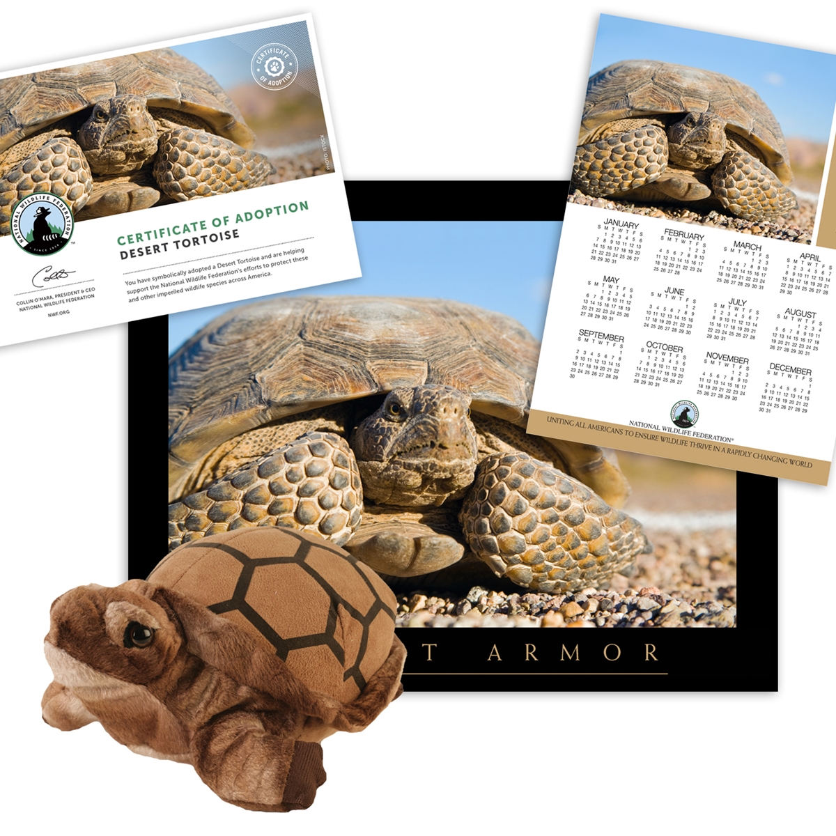 Adopt a Desert Tortoise