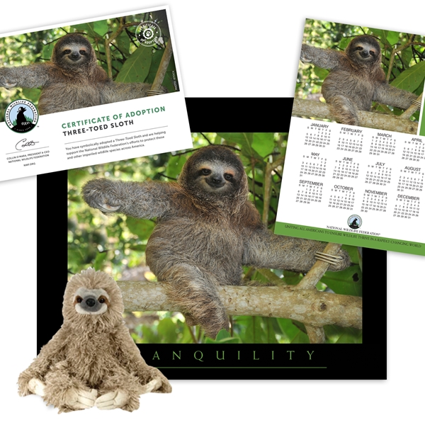 adopt a sloth stuffed animal
