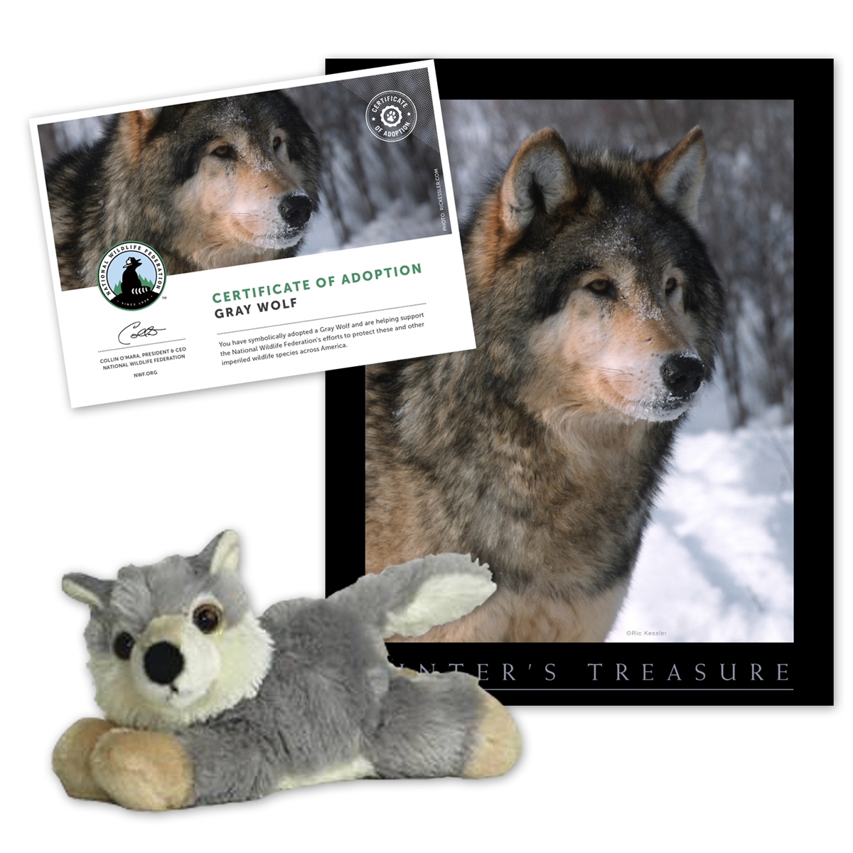 Adopt a Gray Wolf