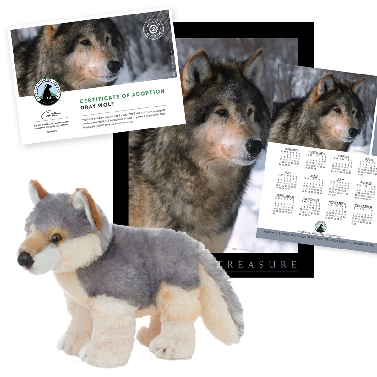 Adopt a Gray Wolf