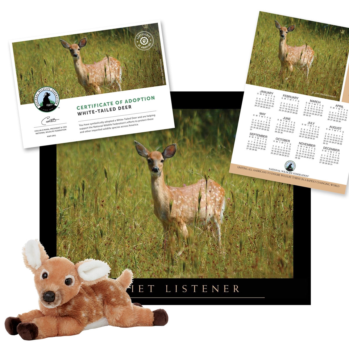 Adopt a White-Tailed Deer