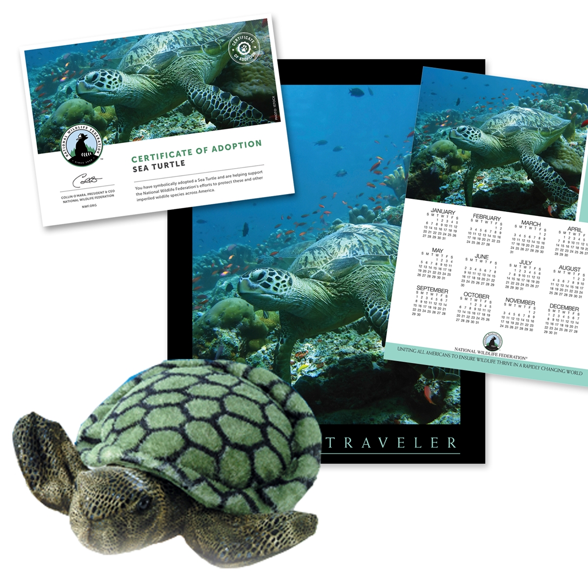 Adopt a Sea Turtle