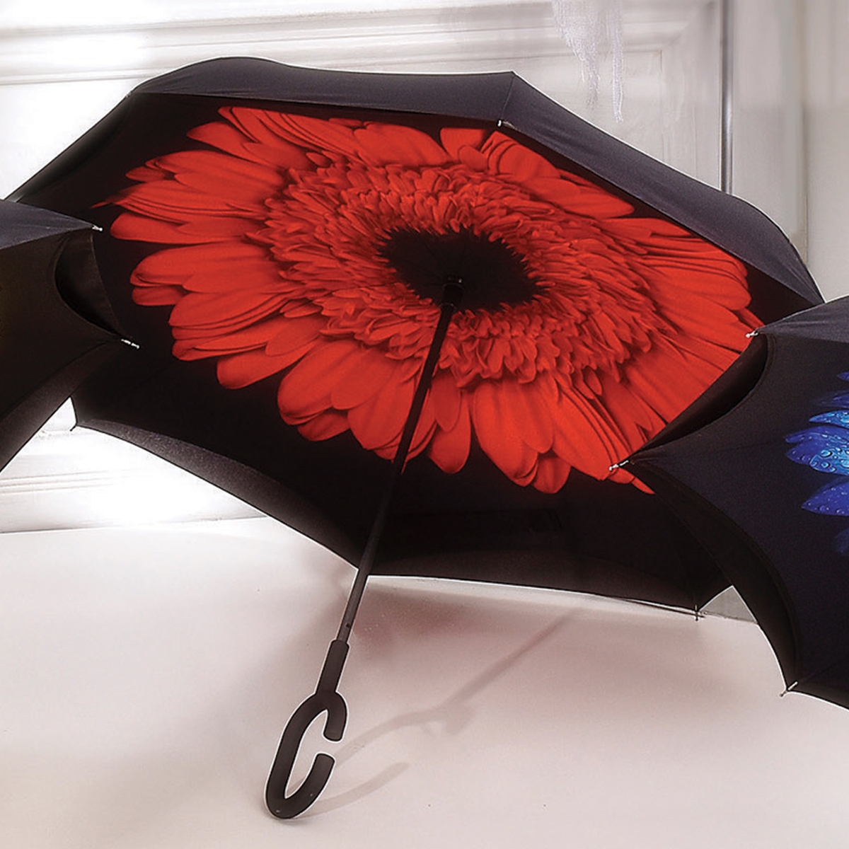 Red Inverted Umbrella