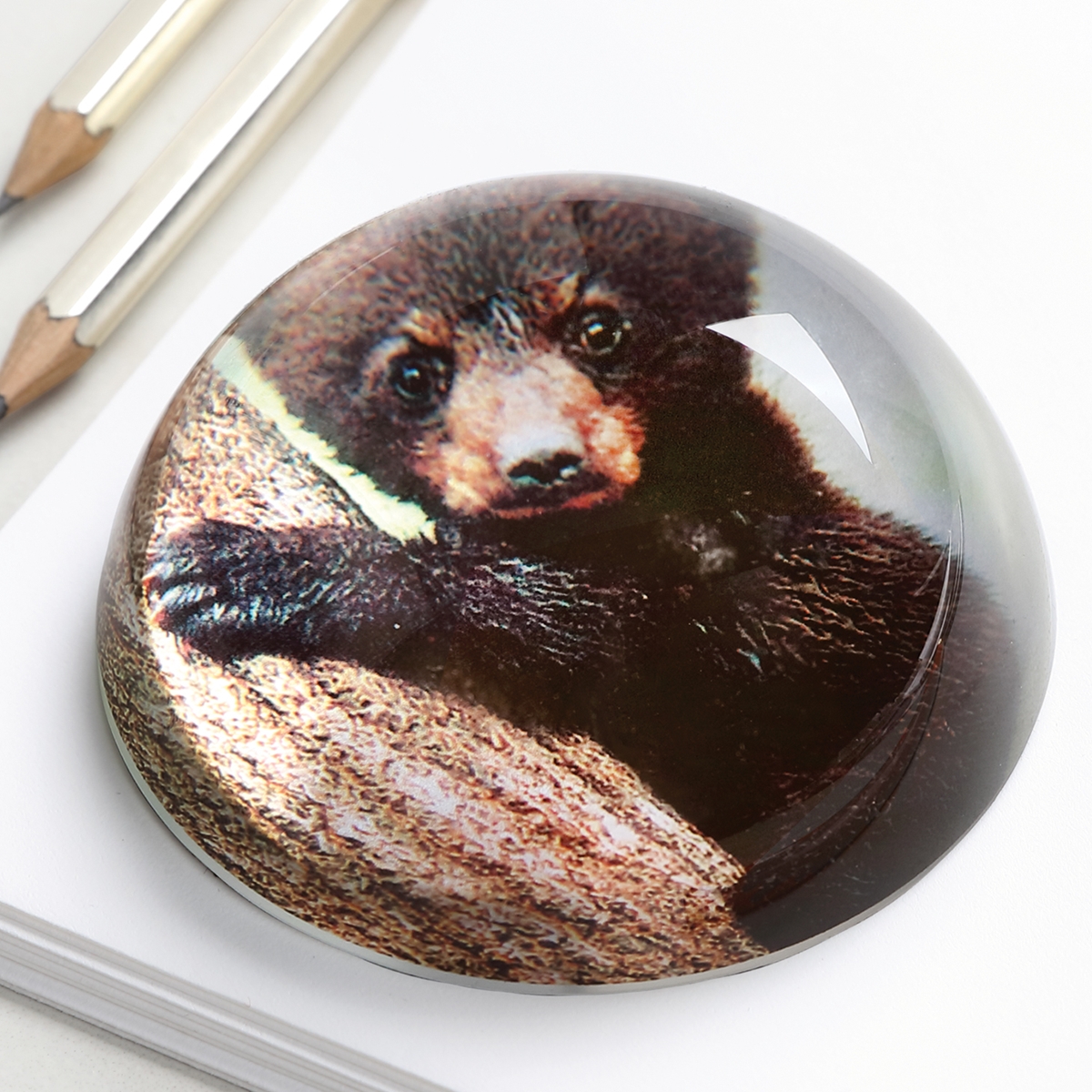 Bear Paper Weight