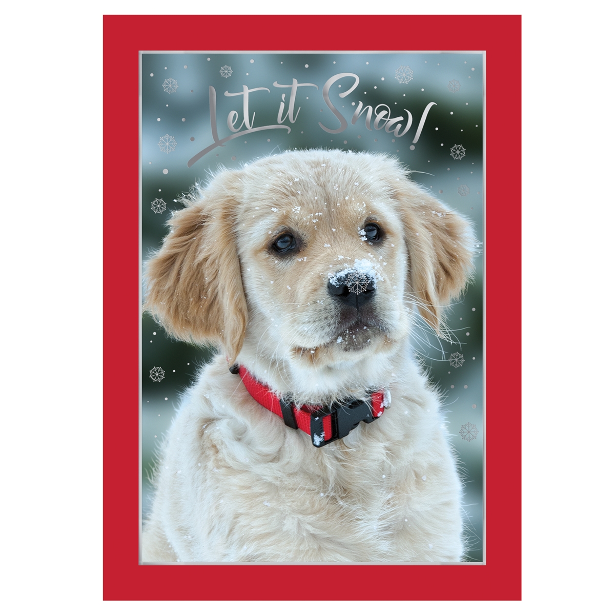 Golden Retriever Puppy in Snow Card
