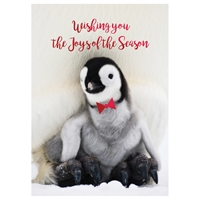 Penguin Greetings Holiday Cards