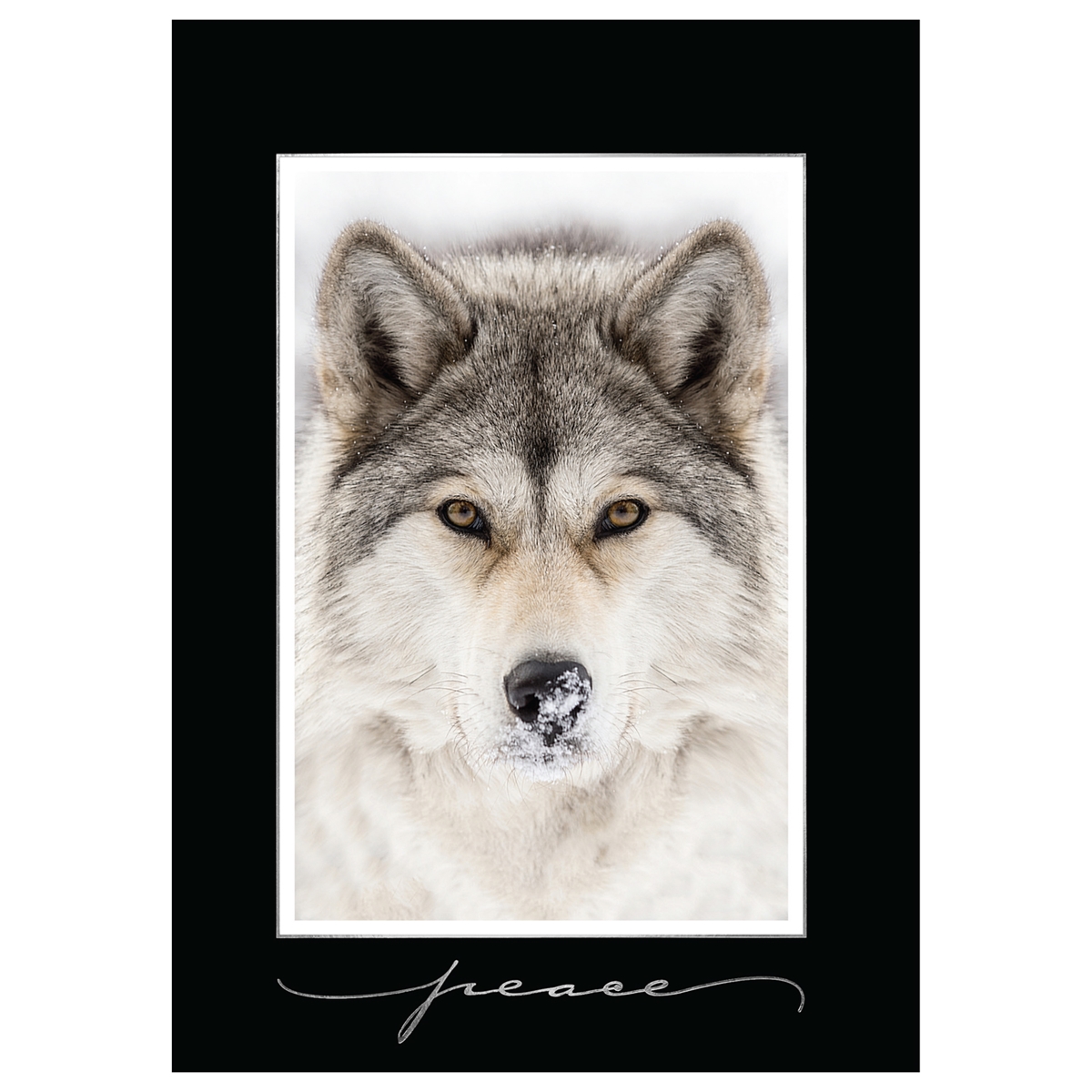 Timber Wolf Card