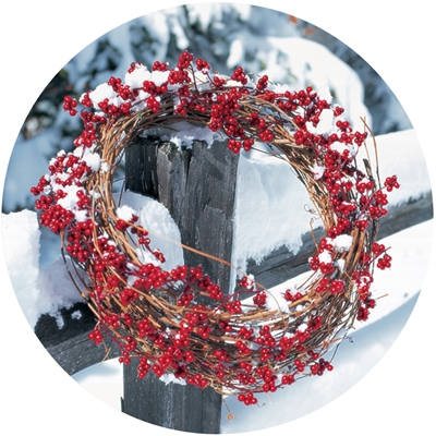 Crown of Berries Envelope Seal