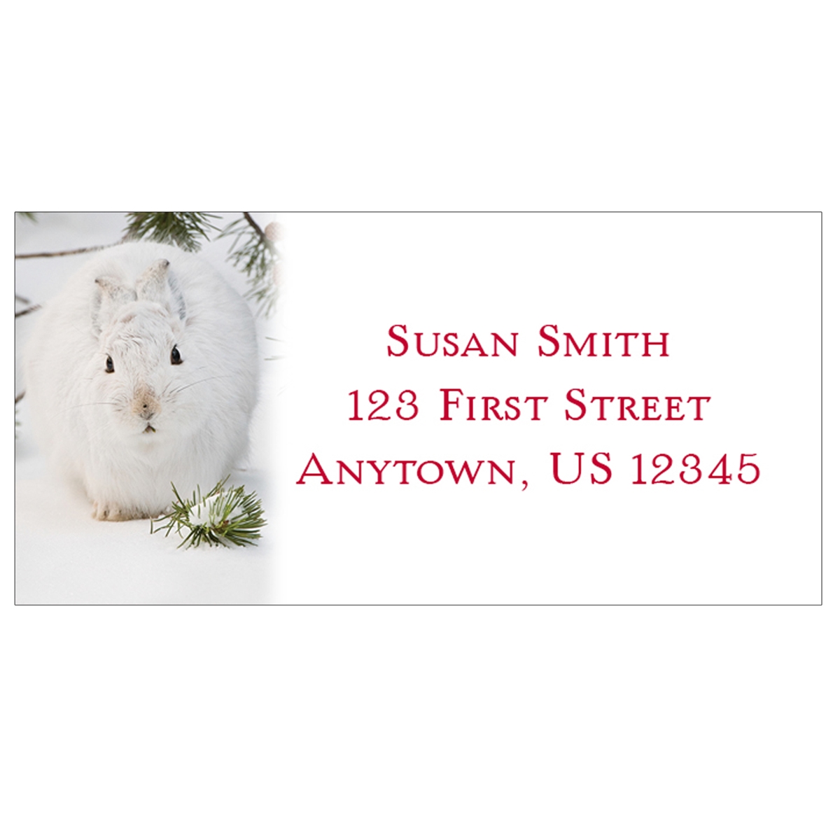 Snowshoe Hare Address Labels