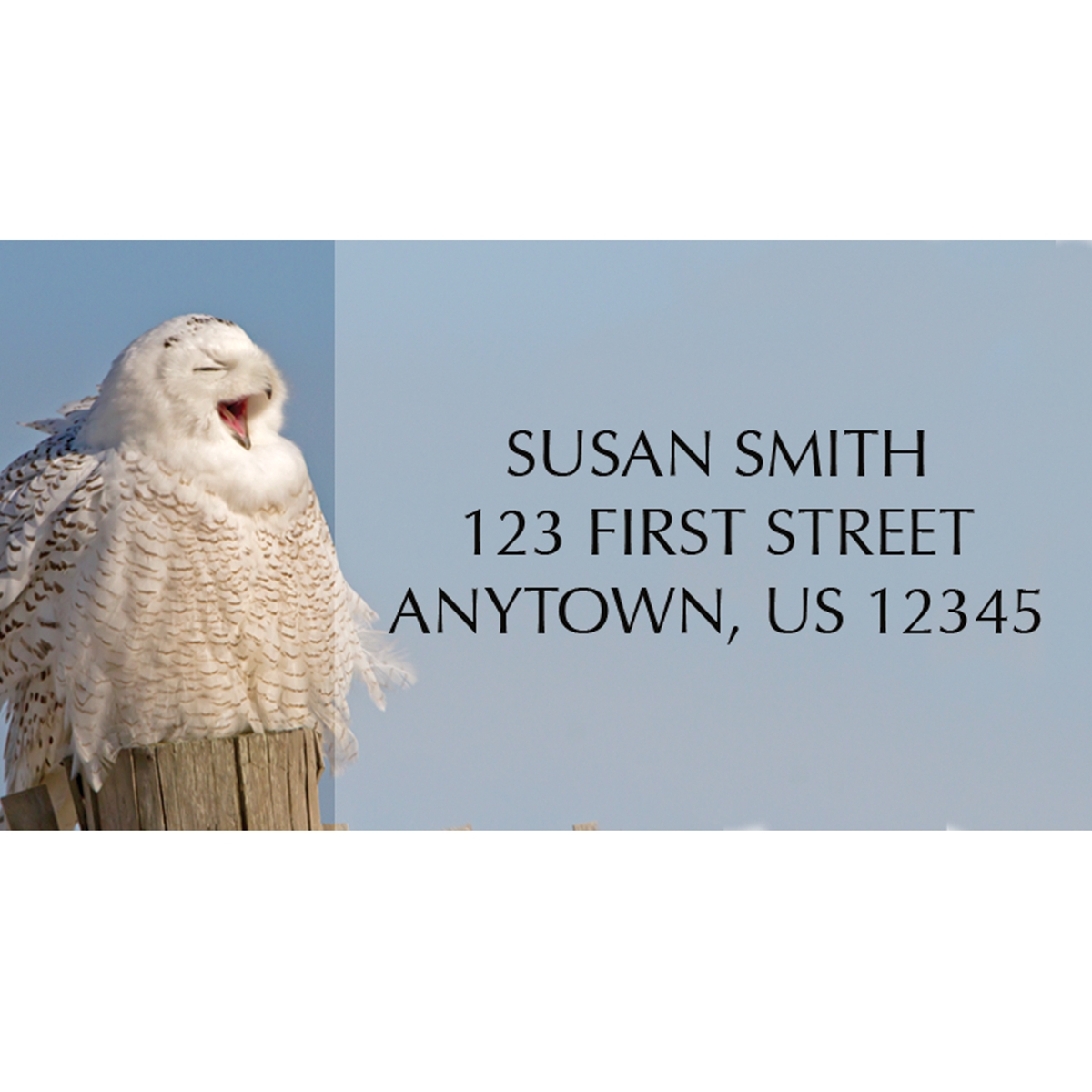 Snowy Owl Wonderland Address Label