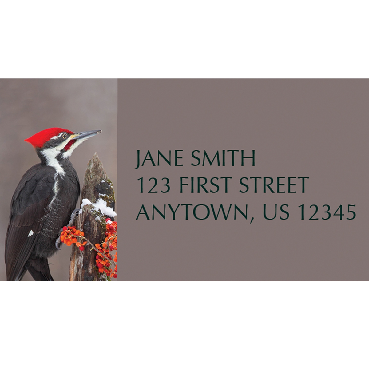 Pileated Woodpecker Address Label
