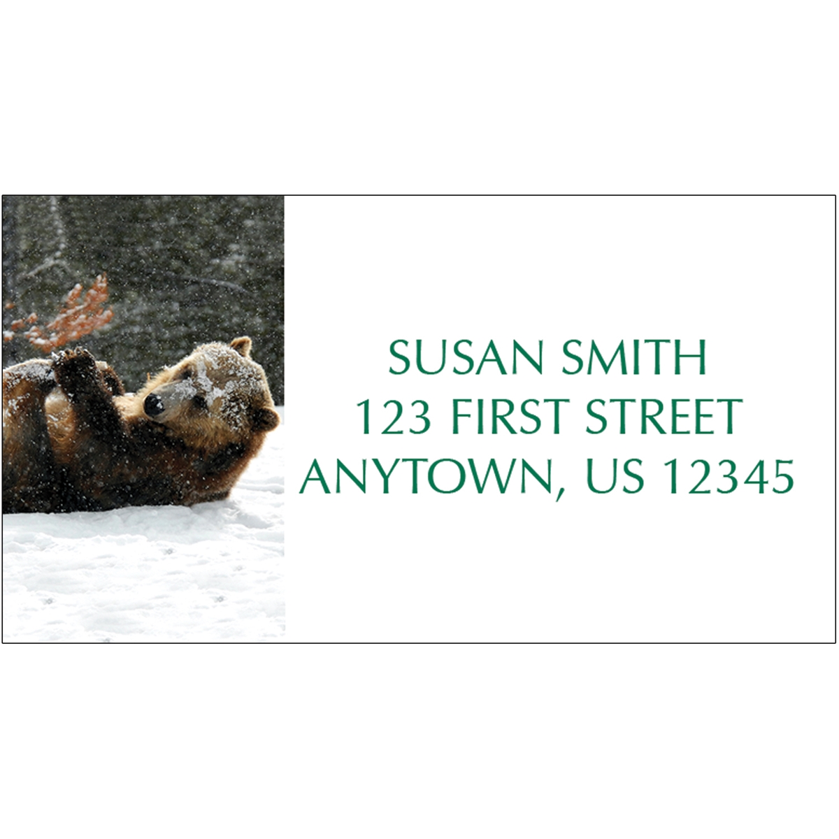 Baby Grizzly Address Label