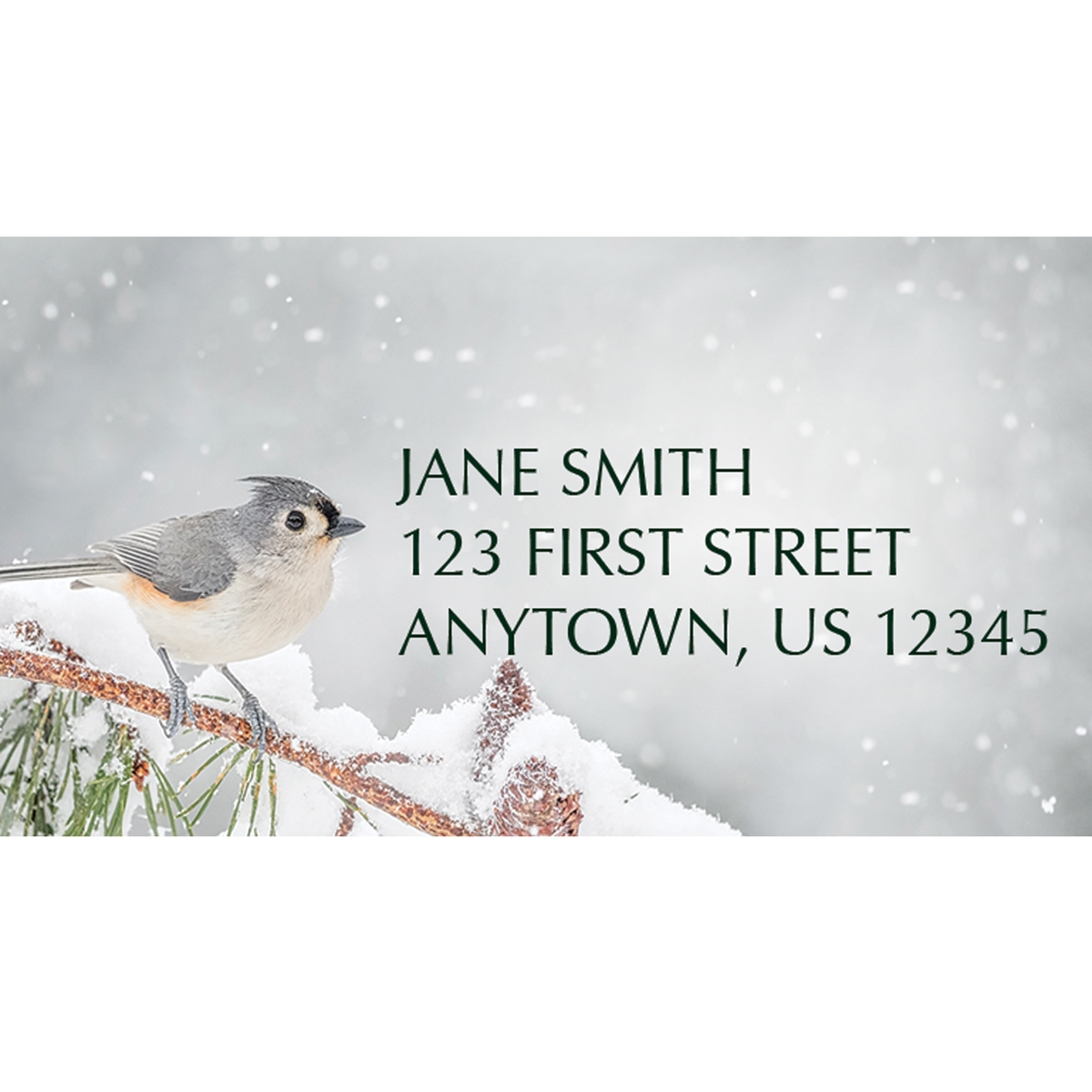 Alerted Tufted Titmouse Address Label