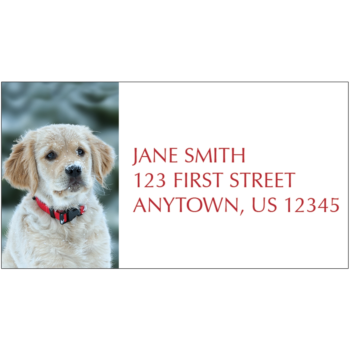 Golden Retriever Puppy in Snow Address Label