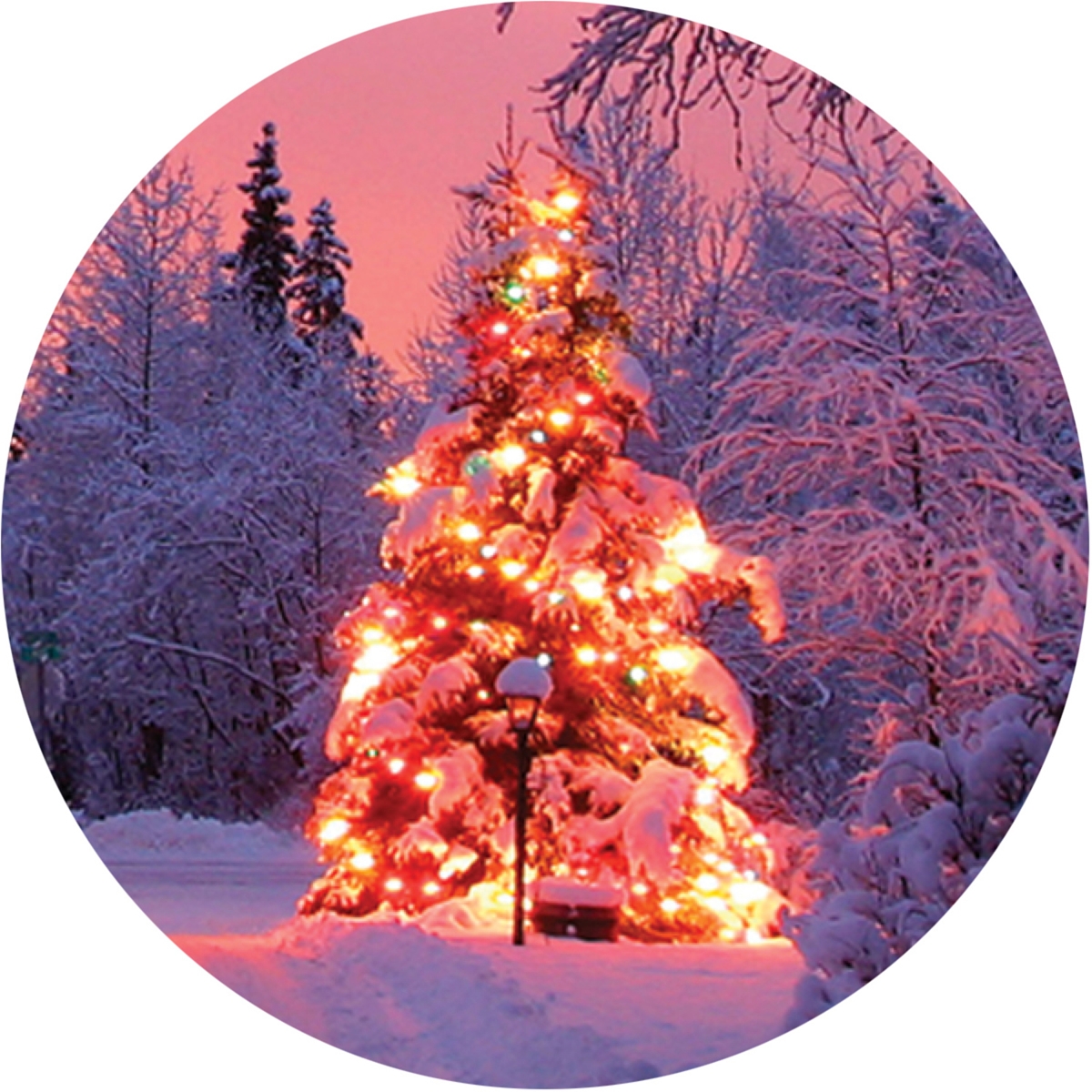 Christmas Lights Envelope Seal