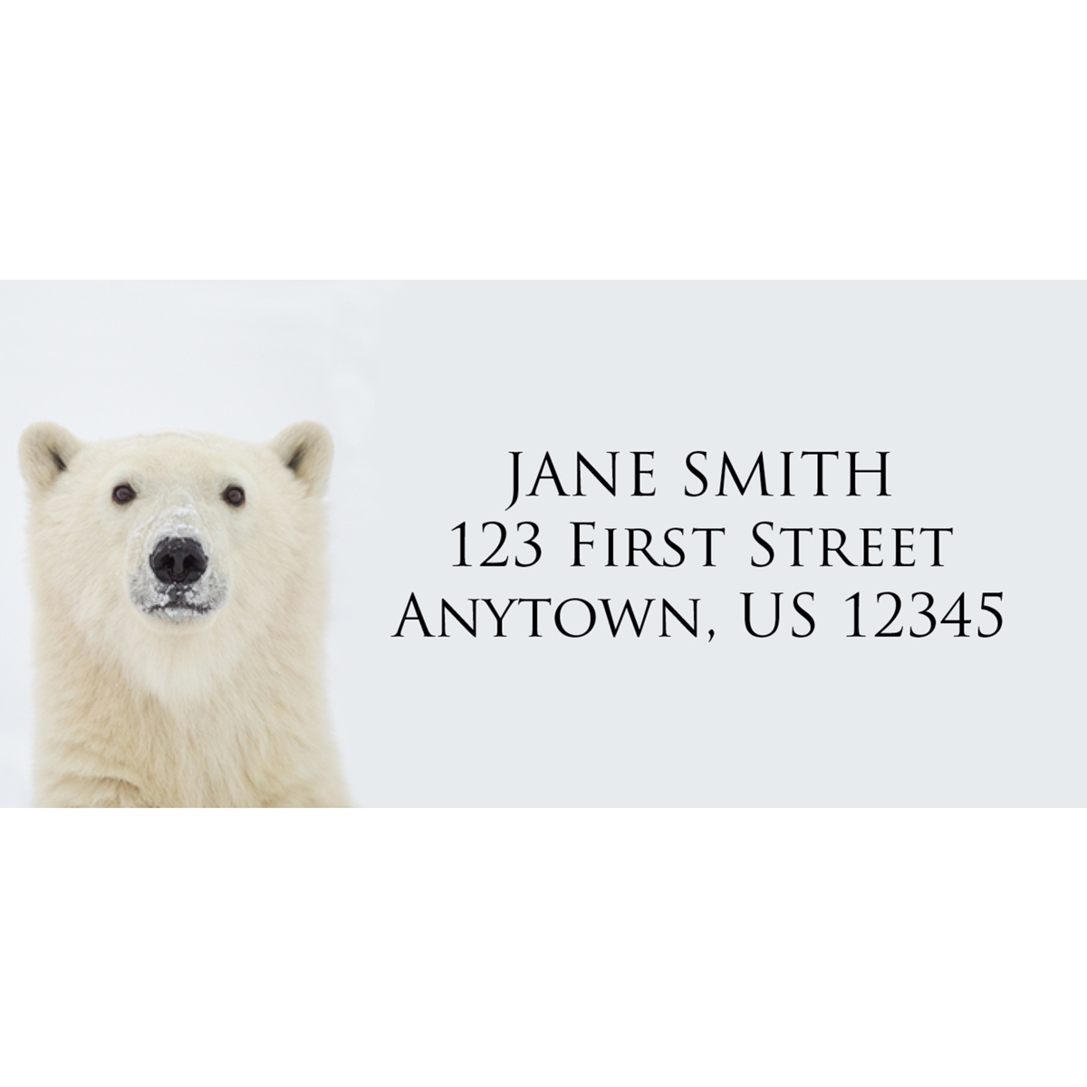 Yearling Polar Bear Address Label