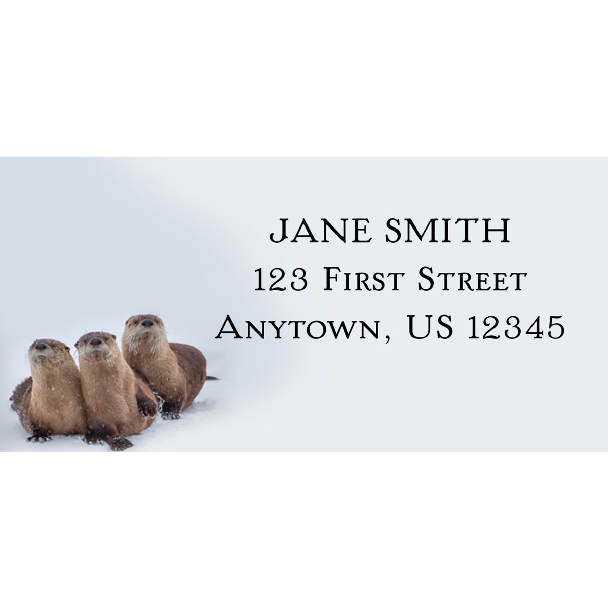 River Otters Along the Shoshone River Address Label