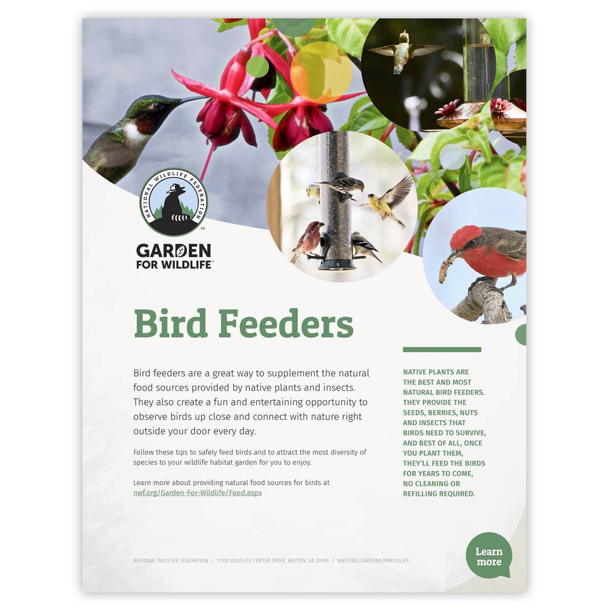 Bird Feeders Tip Sheet