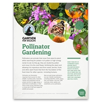 Pollinators Tip Sheet - Pack of 50 - NWFPGS