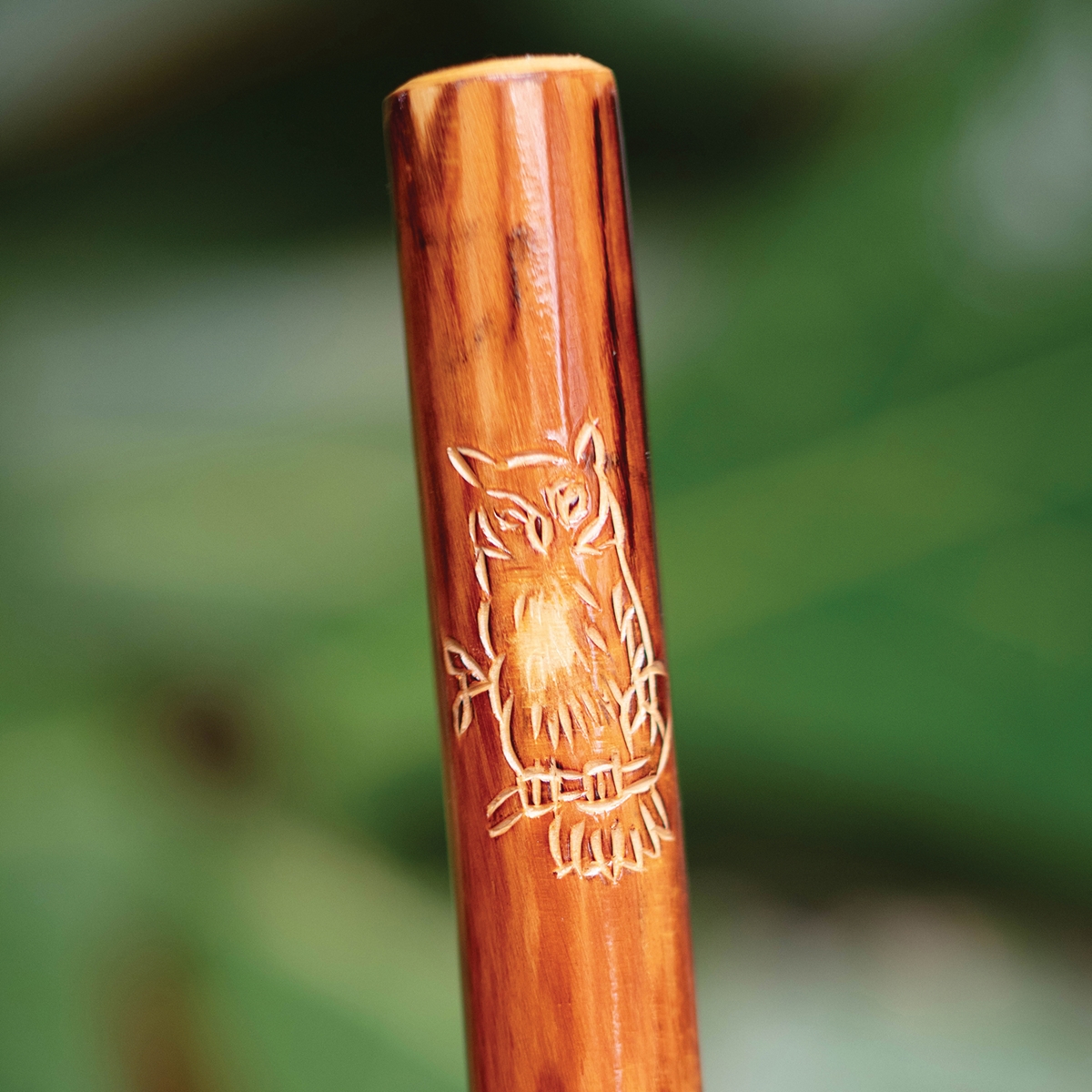 Owl Hiking Stick