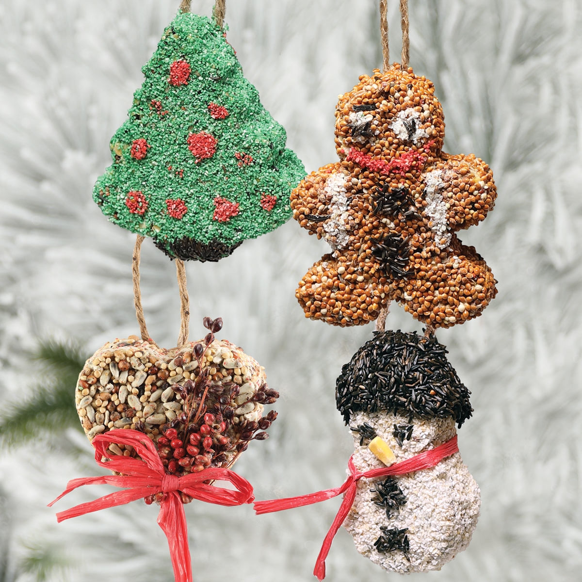 Bird Seed Ornaments