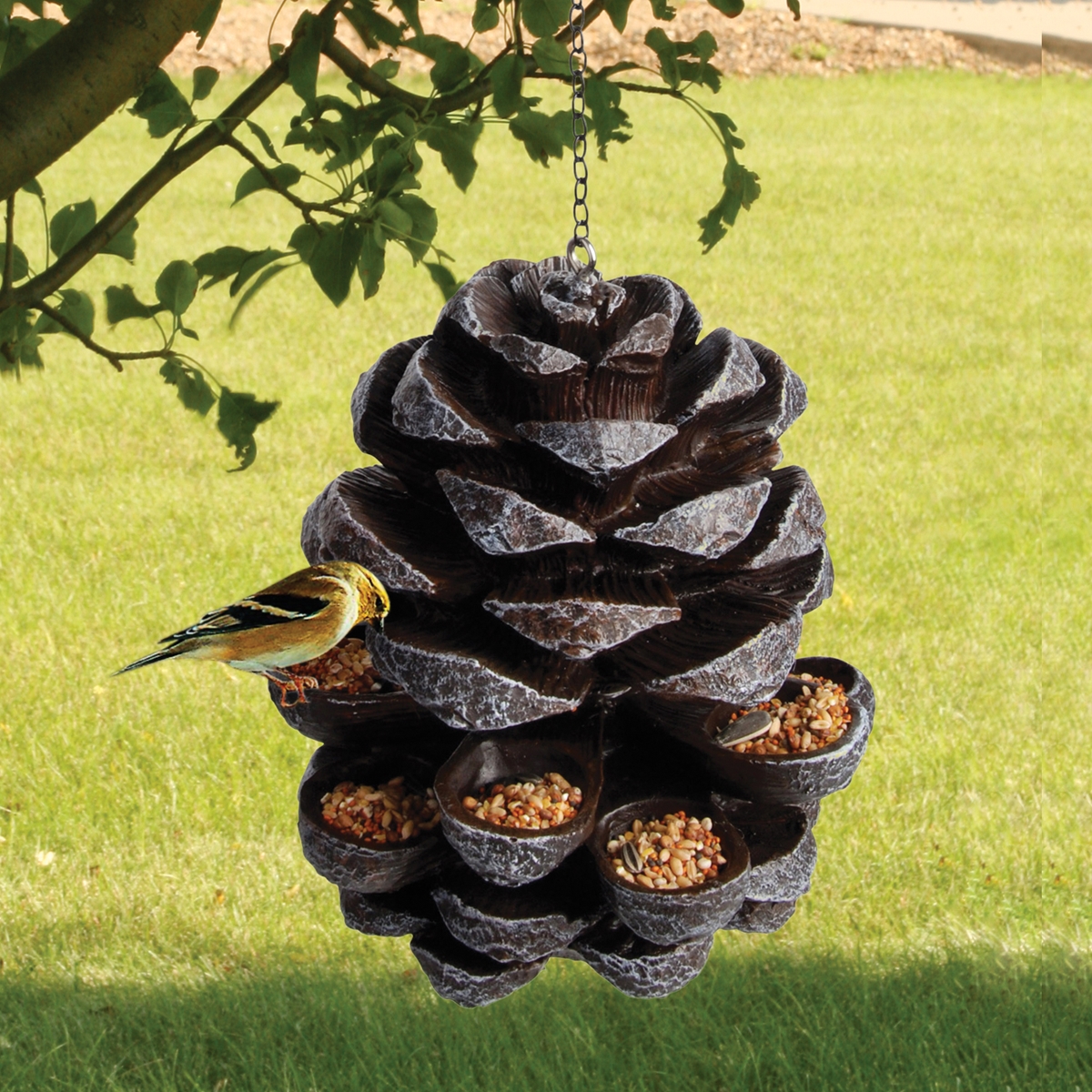 Pine Cone Bird Feeder