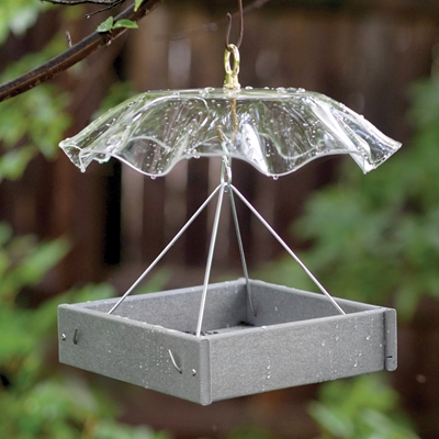 Platform Feeder with Weather Guard