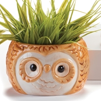 Owl Mini Planter - 490011