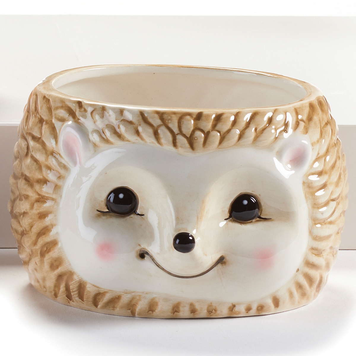 Hedgehog Mini Planter