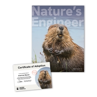 Adopt an American Beaver - BEVR25