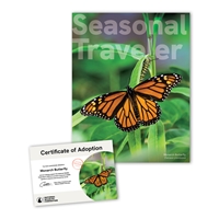 Adopt a Monarch Butterfly - BFLY25