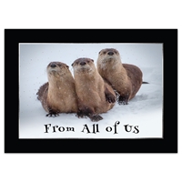 River Otters From All of Us Holiday Cards