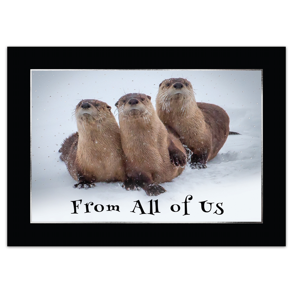 River Otters From All of Us Card