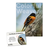 Adopt a Baltimore Oriole - BLTO25