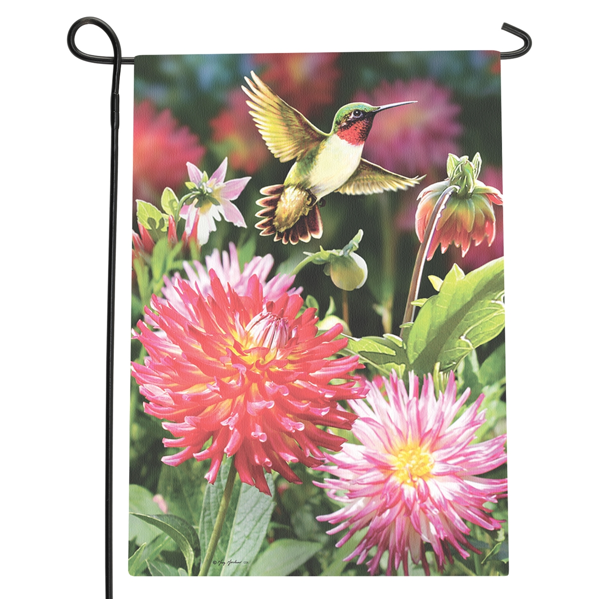 Hummingbird Dahlias Garden Flag