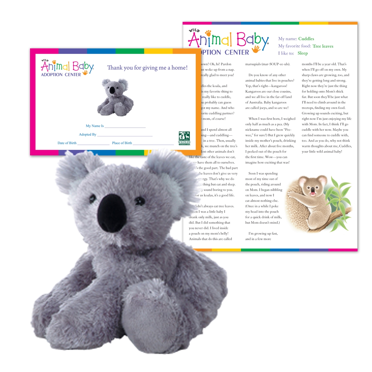 Adopt a Baby Koala
