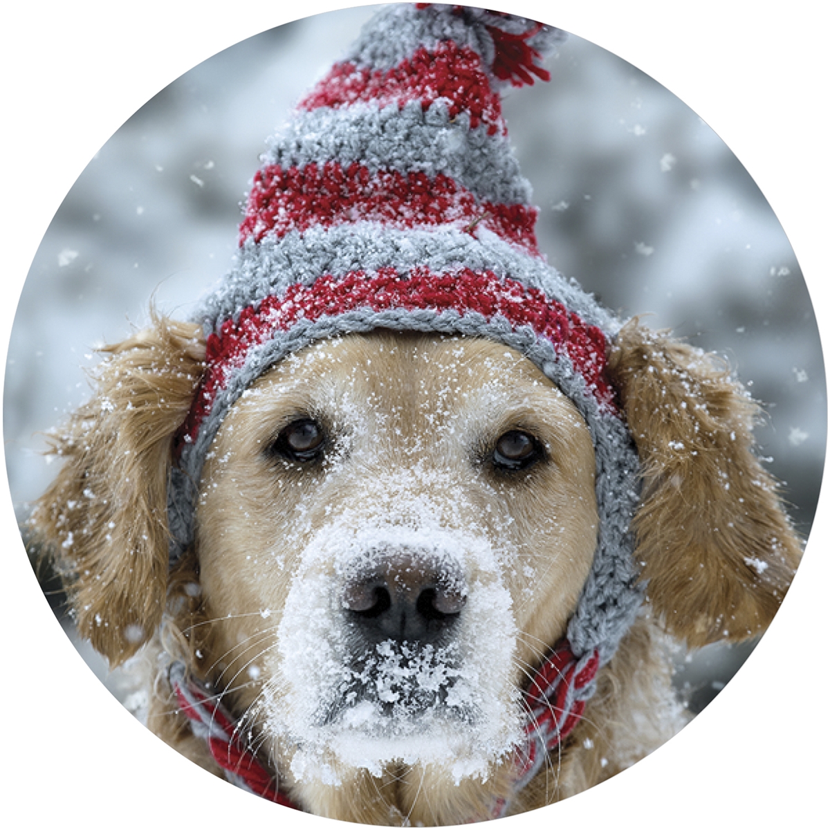 Frosty Retriever Envelope Seal