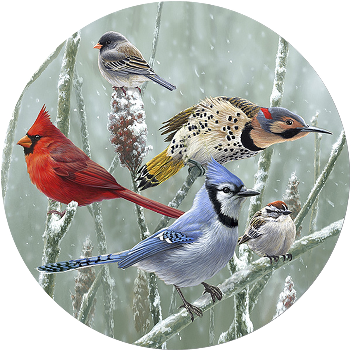 Songbirds and Sumac Envelope Seal