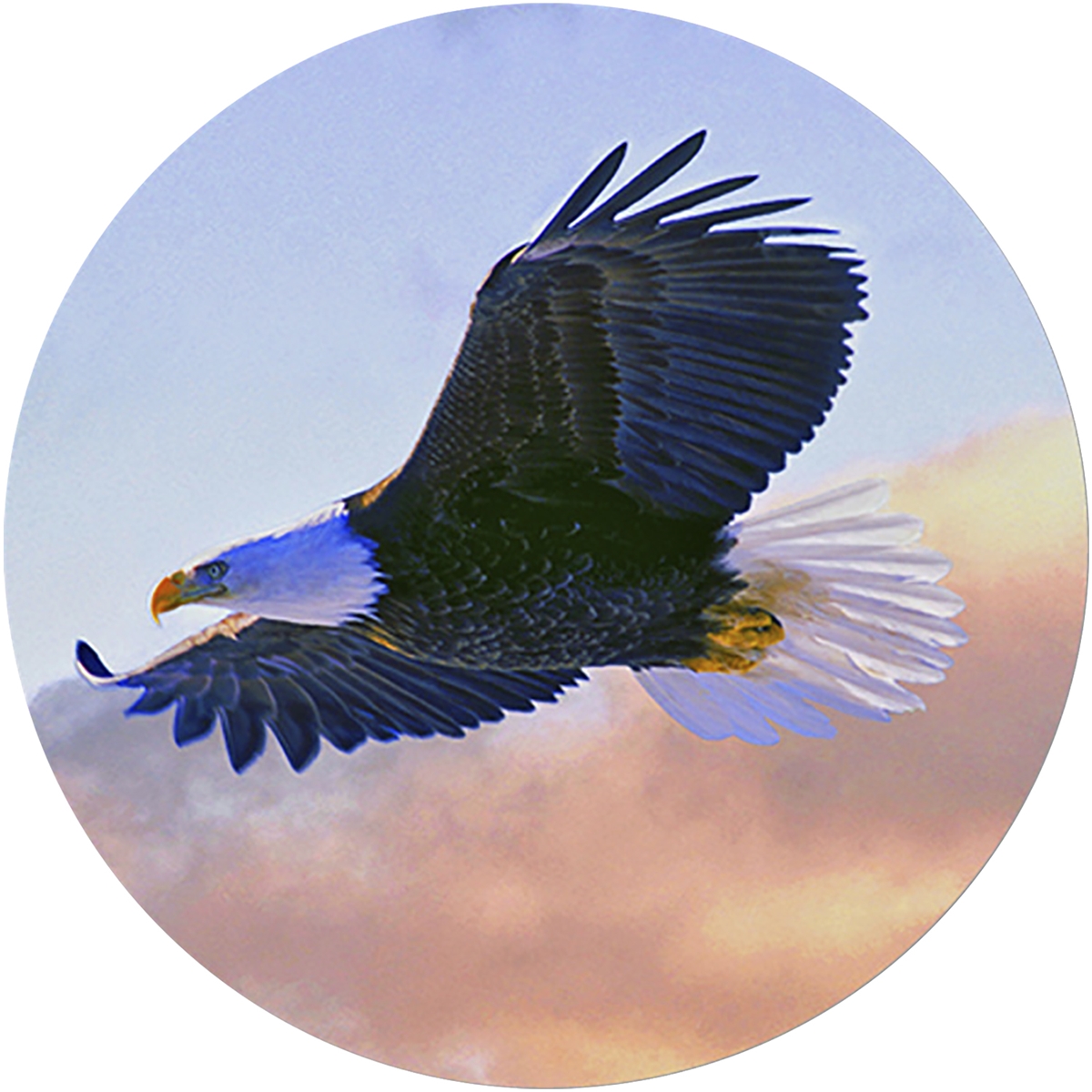 Soaring Eagle Envelope Seal