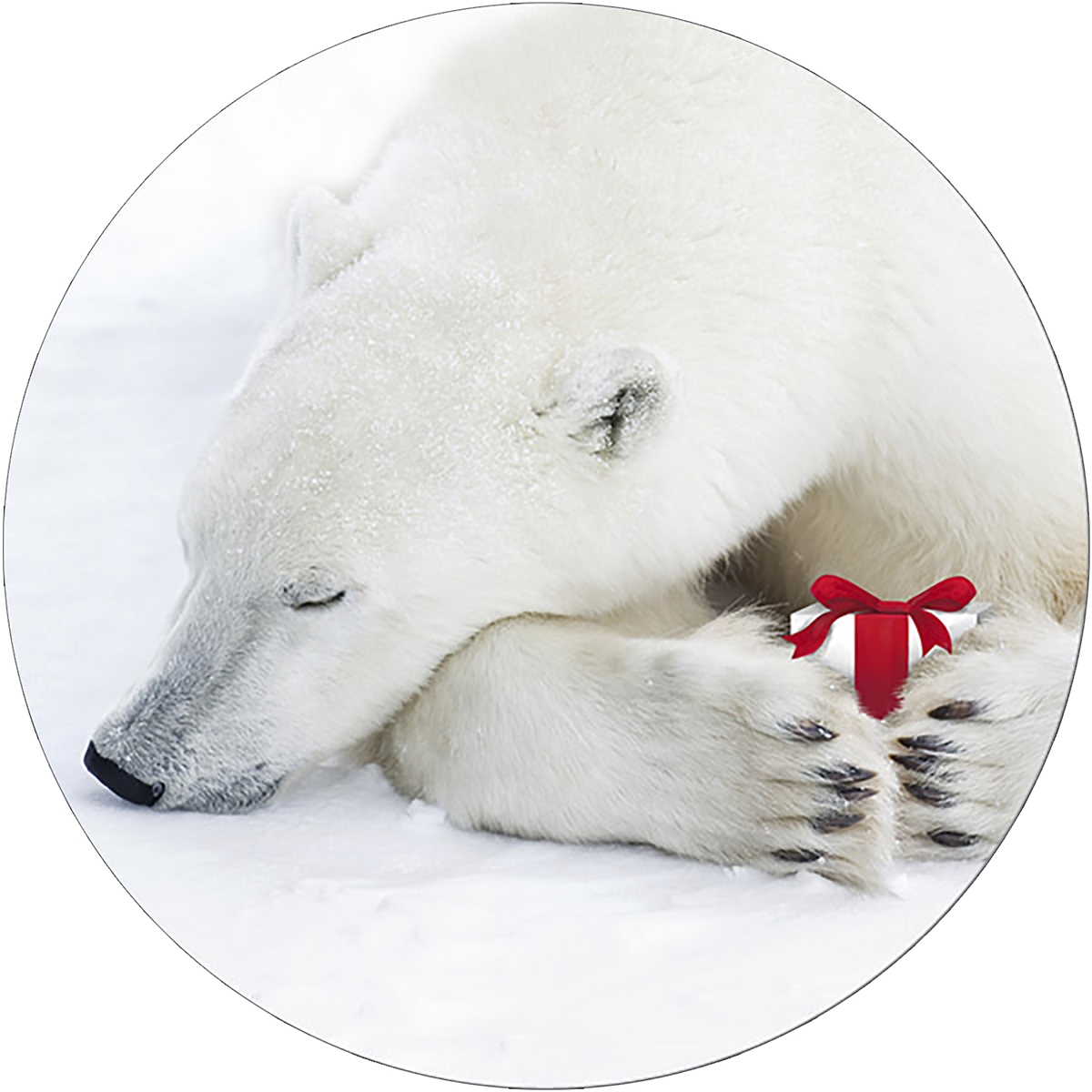 Sleeping Bear Envelope Seal