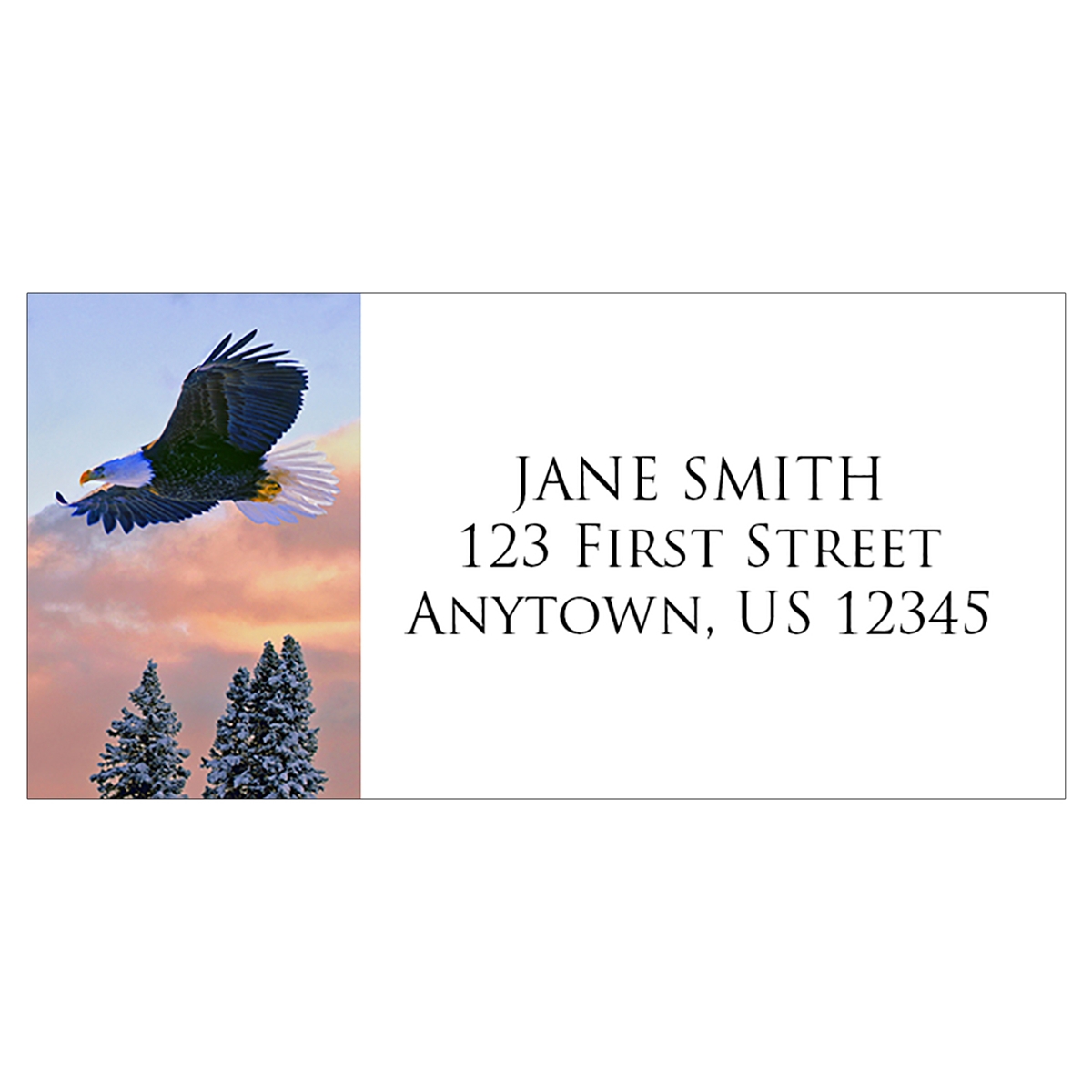 Soaring Eagle Address Label