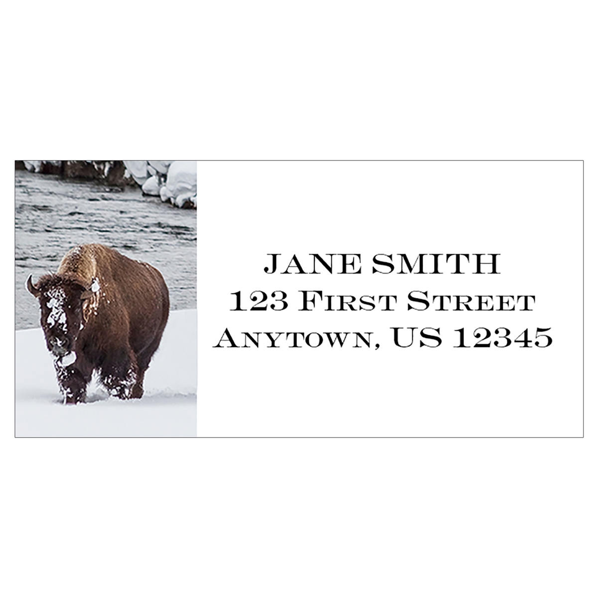 Winter Bison Address Label