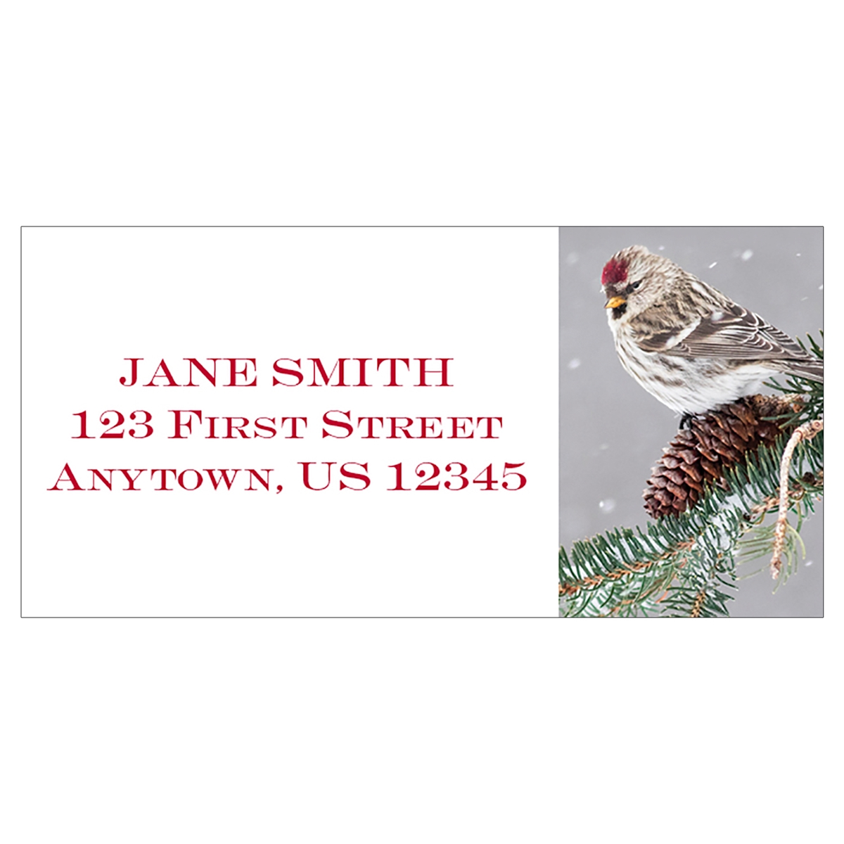 Common Redpoll Address Label
